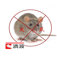 无锡灭鼠公司家里出现老鼠怎么
