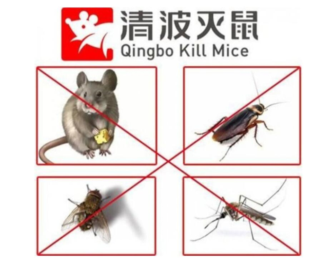 金坛杀虫公司