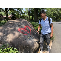 溧阳抓老鼠公司
