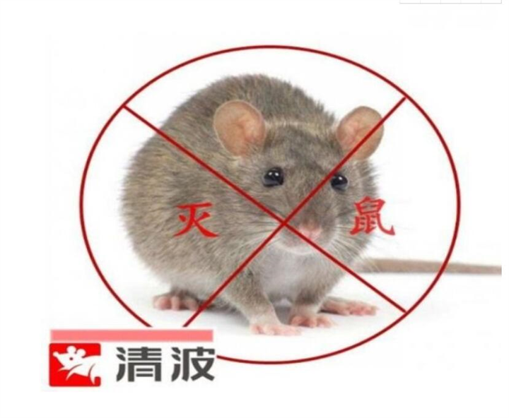 昭通消杀灭鼠公司怎么收费的
