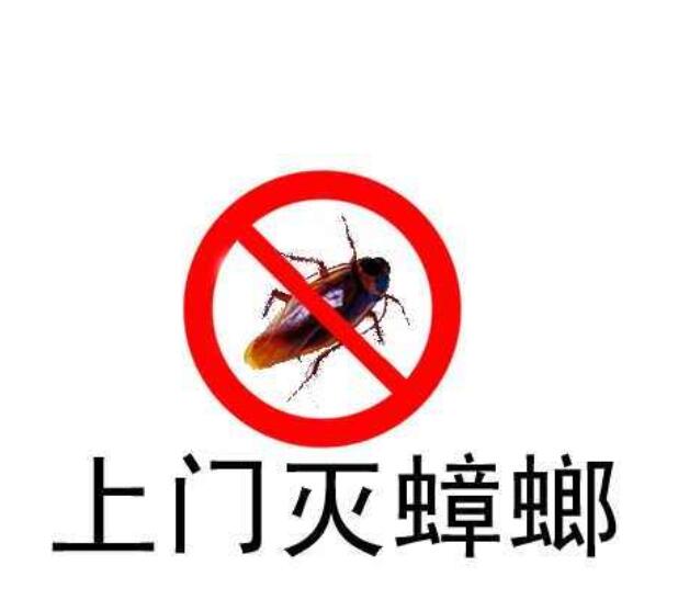 绍兴灭蟑螂公司介绍几种灭蟑螂的方法