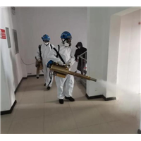 绍兴灭鼠电话
