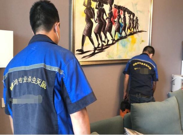 苏州抓老鼠公司