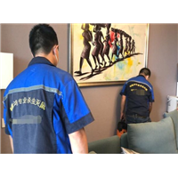 苏州抓老鼠公司