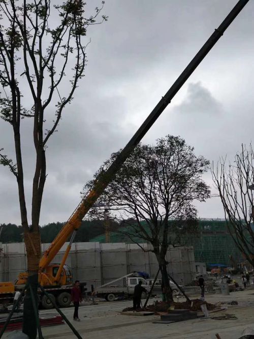 贵阳吊车维修保养