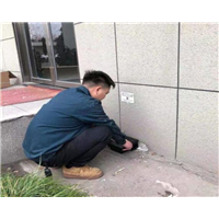 舟山灭老鼠公司