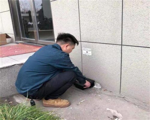 舟山灭老鼠公司