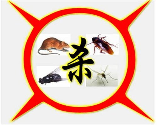 舟山小区灭鼠