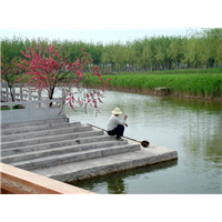 河北中青国际旅行社有限公司 