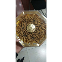 商洛冬虫夏草回收