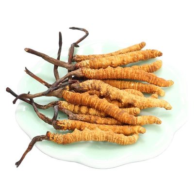 德阳虫草回收价格