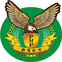 雄鹰除虫专业除虫公司 