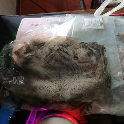 山东济宁蟾皮批发零售