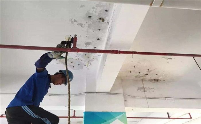厦门防水公司电话 