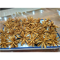 都江堰回收虫草