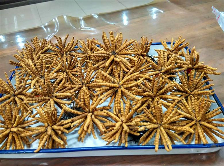 都江堰回收虫草