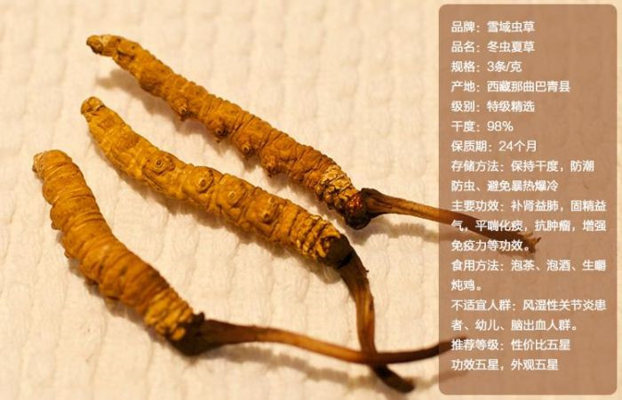 都江堰冬虫夏草回收