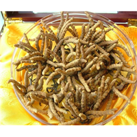 连州回收冬虫夏草,当天回收冬虫夏草哪家靠谱
