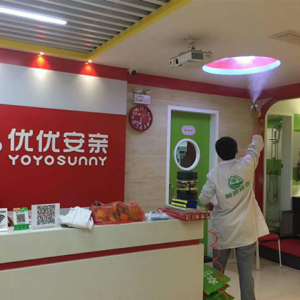 汕头除甲醛优优安亲 