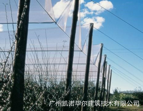 广州膜结构大棚搭建