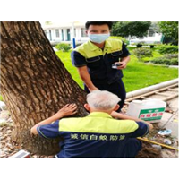 贺州治理白蚁 