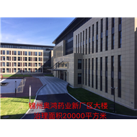 锦州奥鸿药业新厂区大楼甲醛治理 