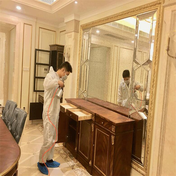宜春除甲醛找专业的公司进行解决处理
