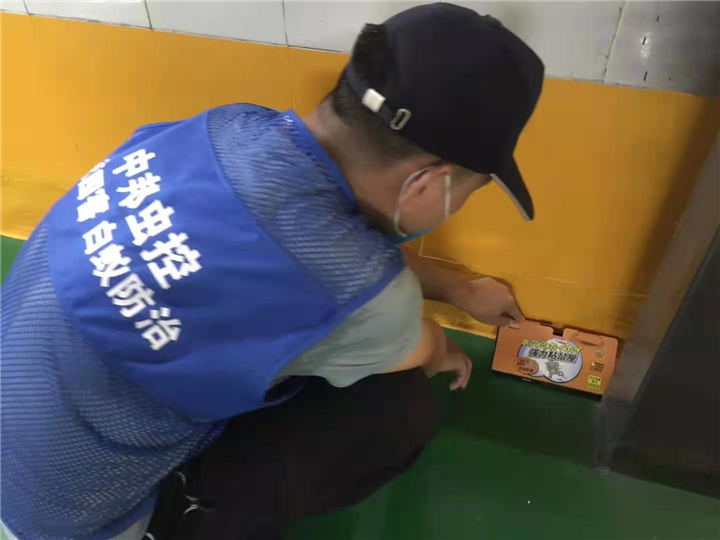 中山灭蚊蝇 