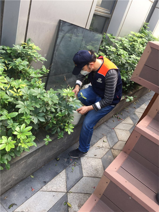中山除四害公司 