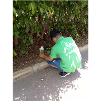 中山白蚁防治 