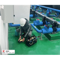 安吉县灭老鼠灭蟑螂电话