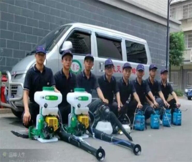 安吉灭鼠