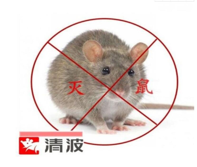 安吉除四害公司