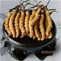 安顺虫草回收