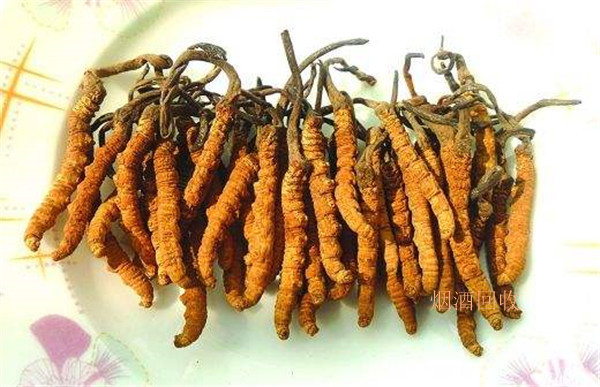 铜仁回收虫草