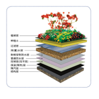种植屋面用聚氨乙烯pvc耐根穿刺防水卷材 