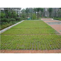 青岛植草砖商家电话