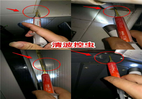 抚州专业杀虫