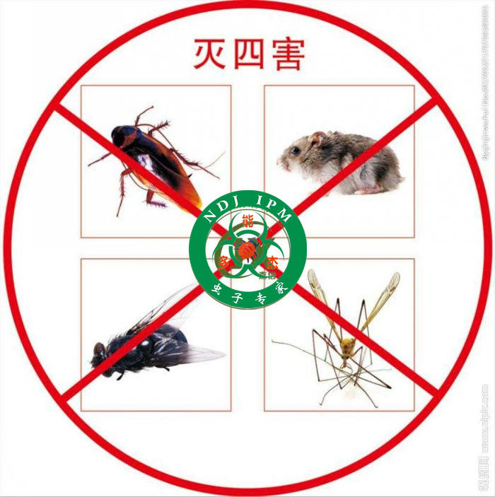 湖州灭鼠德清县灭老鼠湖州灭四害