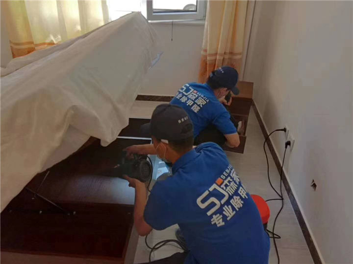 玉环除甲醛公司电话多少