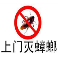 拉萨灭鼠蟑螂如何有效灭蟑螂