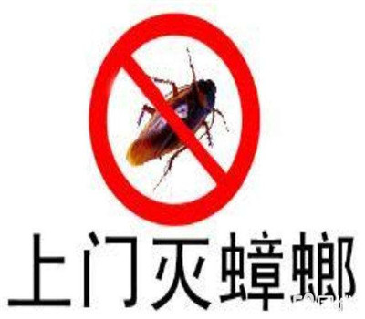 拉萨灭鼠蟑螂如何有效灭蟑螂