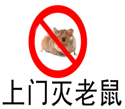 拉萨酒店灭鼠老鼠的生活习性及危害