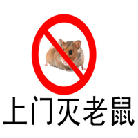 拉萨酒店灭鼠老鼠的生活习性及危害