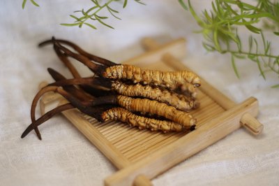 泉州回收冬虫夏草