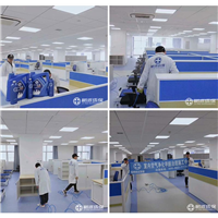 丽水除甲醛杭州研发中心大楼