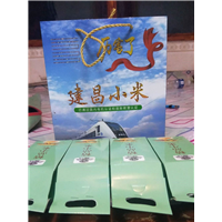 建昌小米 