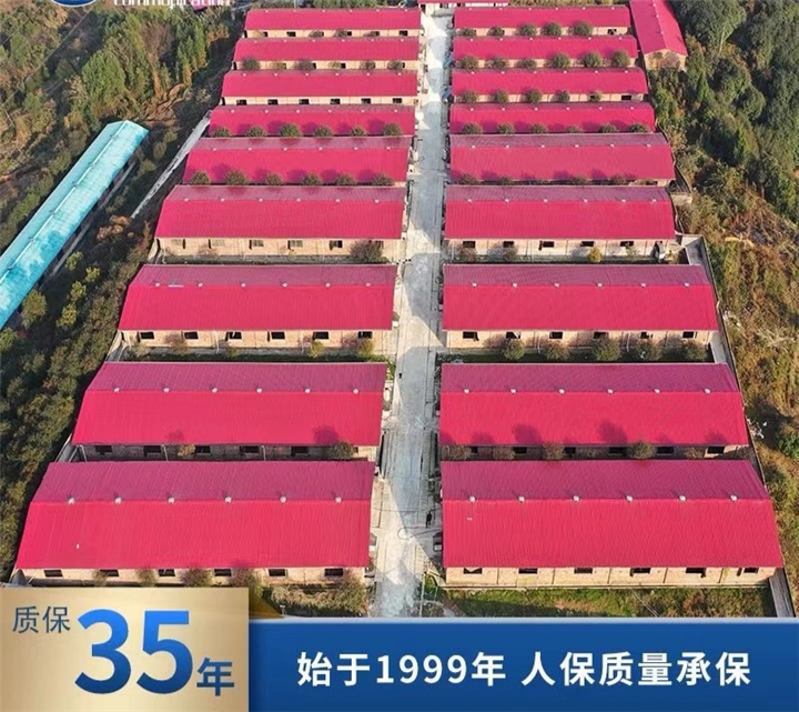河南树脂瓦