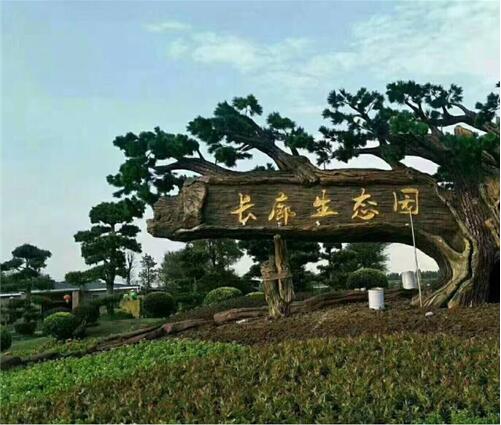 深圳塑石假山h深圳假山瀑布h深圳假山鱼池 