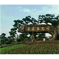 益阳假山塑石施工h张家界假山